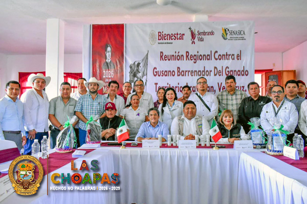 63gusanobarrenador.jpg