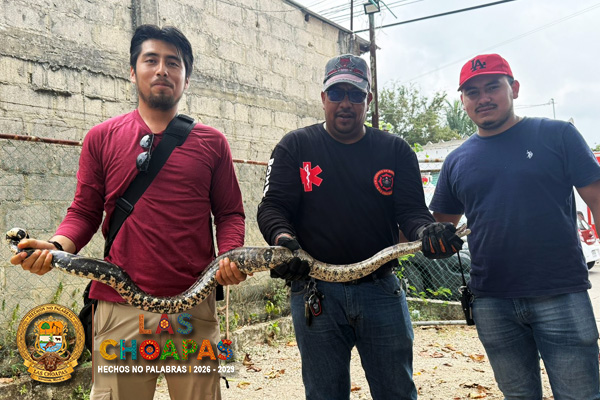 66reptil.jpg