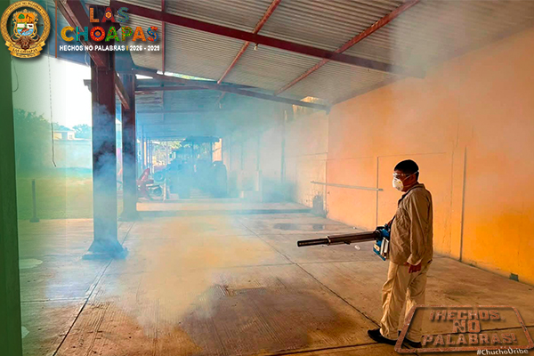 fotopequeñodengue.jpg.jpeg