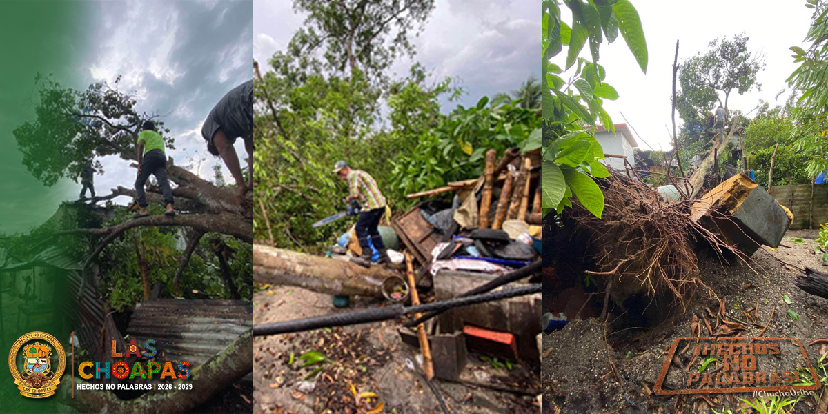 Atienden caída de árboles sobre vivienda tras fuerte tormenta en la colonia Aviación