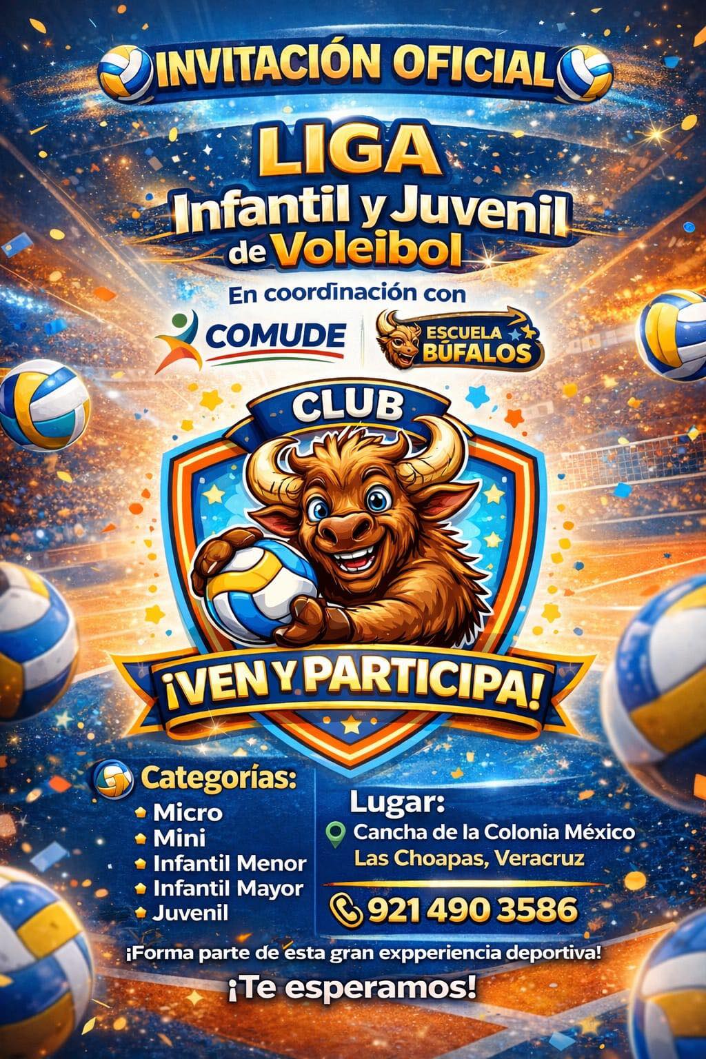 Liga Infantil y Juvenil de Voleibol.